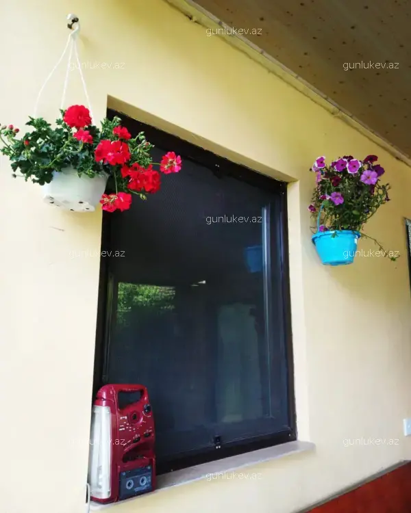 house image