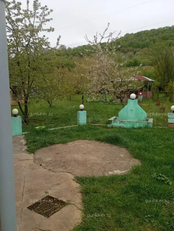 house image