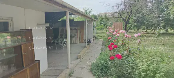 house image