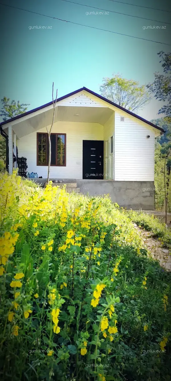 house image