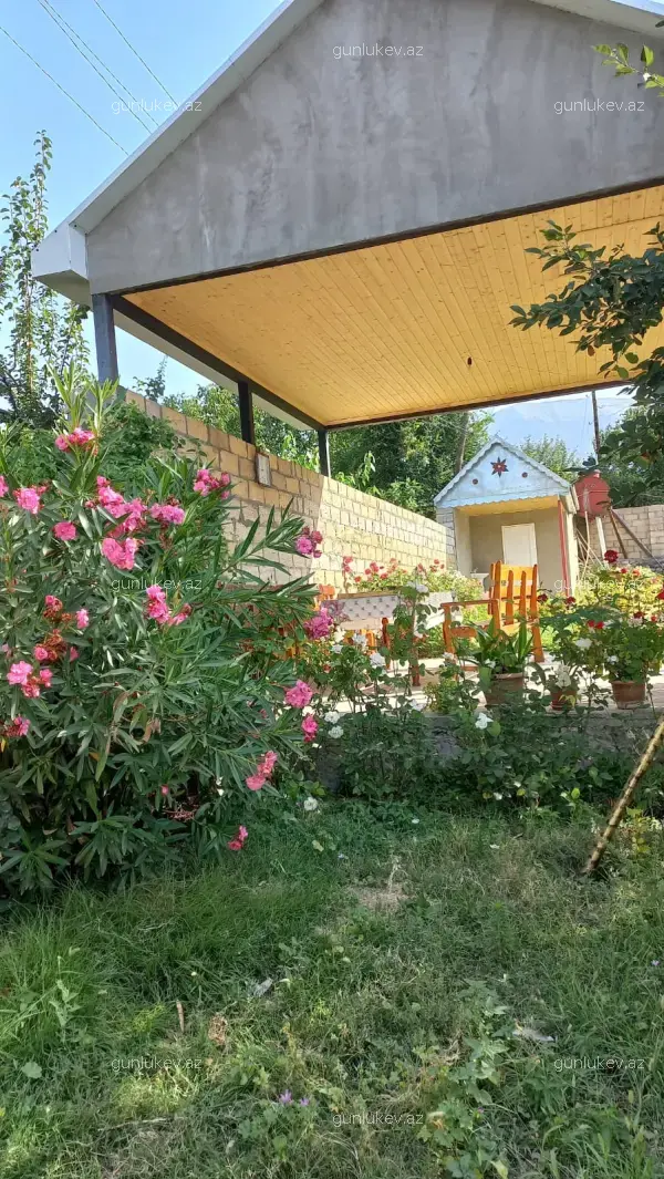 house image