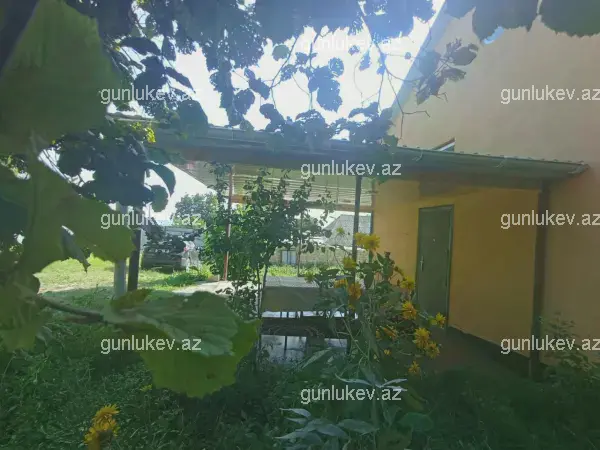 house image