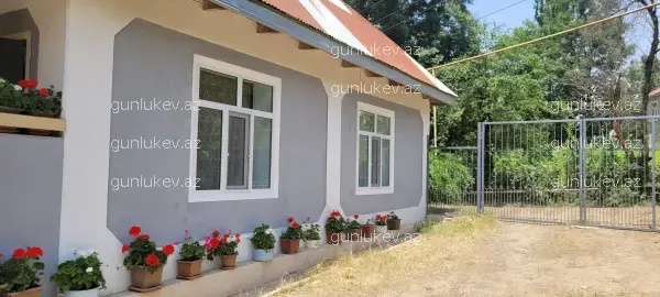 house image